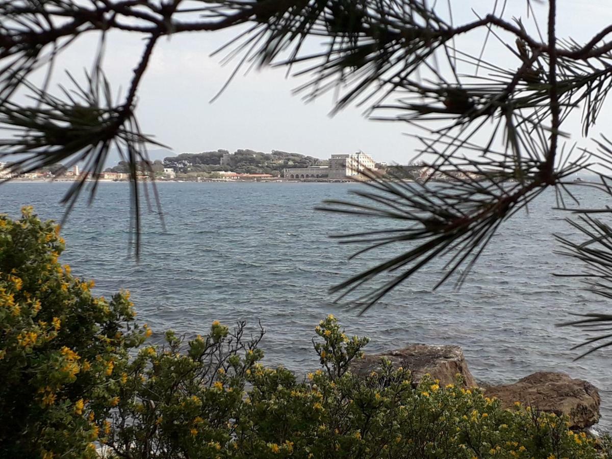 Bandol Nature Et Loisirs: Parking/ Piscine Bagian luar foto